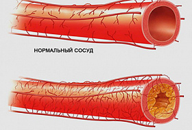 Наука. Kрупнейшая афера XX века Наука. Kрупнейшая афера XX века